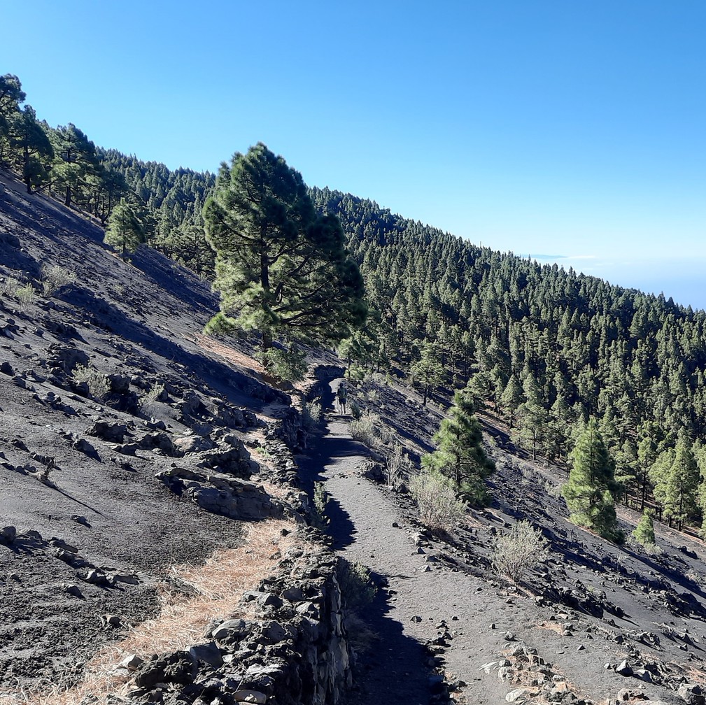 Randonnée la palma - La Palma, isla bonita - Randonnée - Espagne ...