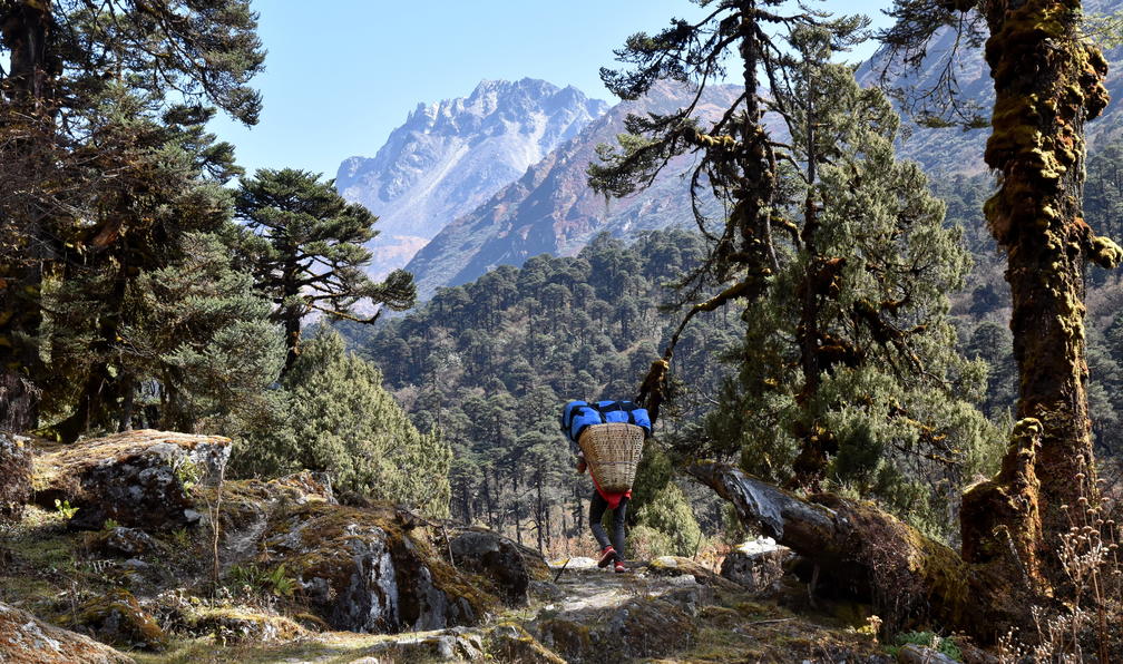 © Catherine C. - Trekking du Kangchenjunga (8586 m) - 8