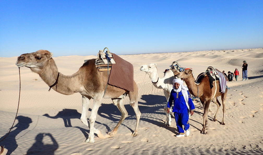 © Christelle P. - Montagnes, dunes et palmeraies - 9