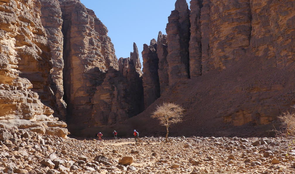 © Gérard S. - Sables et canyons des Ajjers - 9