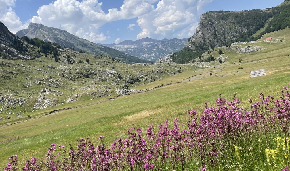 © Hélène D. - Balkan Trail, trek au coeur des Alpes Albanaises - 11