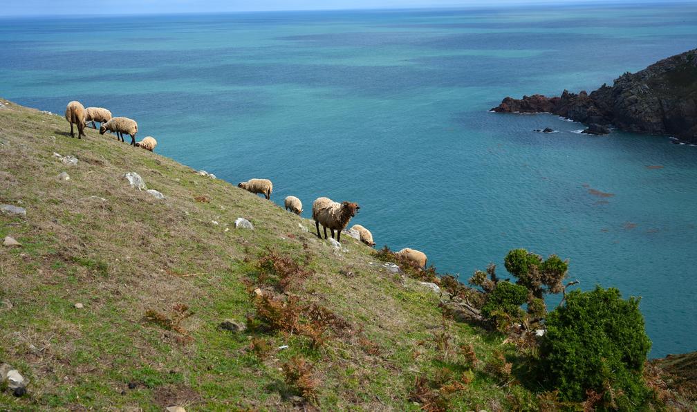 © Pascal R. - Les îles Anglo-Normandes - 10