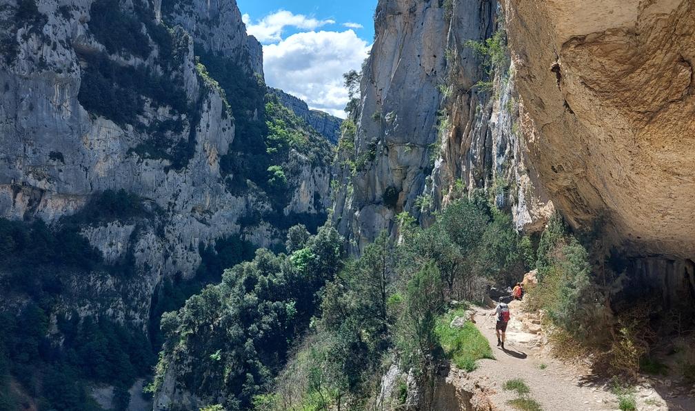 © Olivier N. - Les gorges du Verdon en étoile - confort - 12