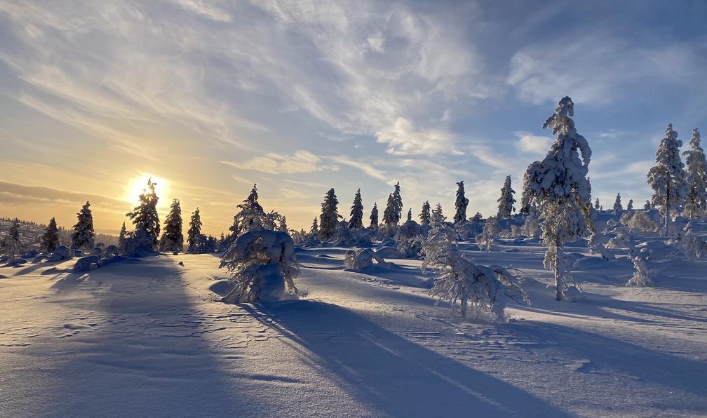 © Jacques D. - Ski de fond et nature au pays des Tunturis - 10