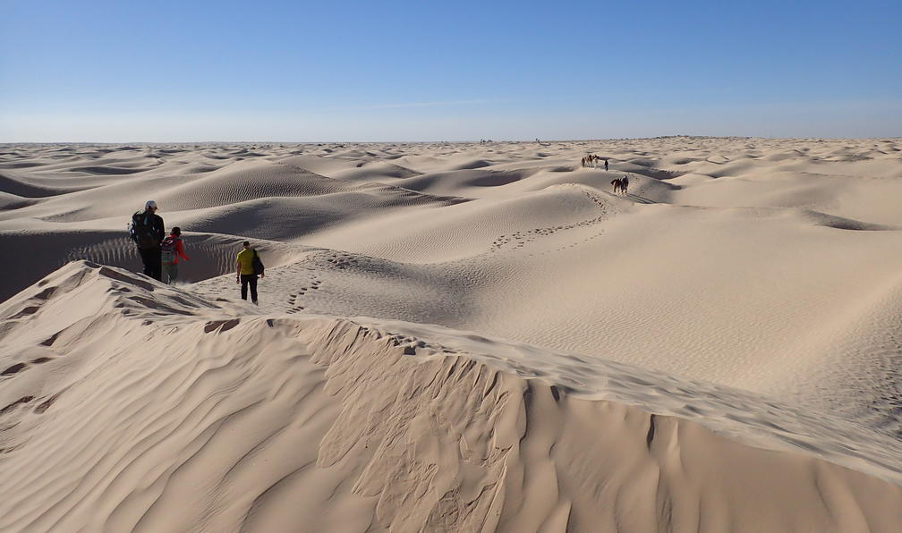 © Christelle P. - Montagnes, dunes et palmeraies - 10