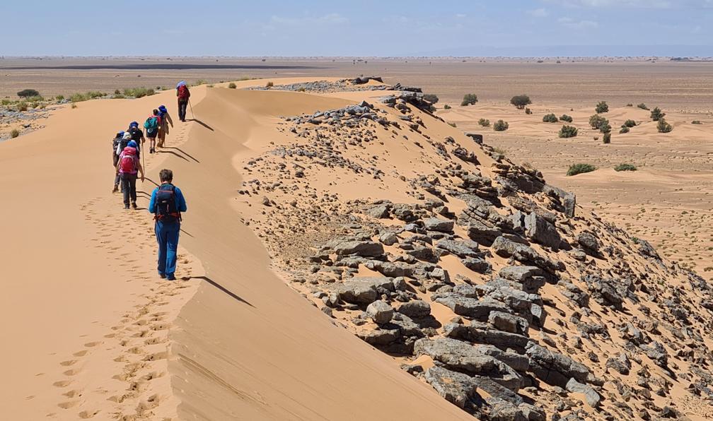 © Alain P. - Sur la trace des caravanes - 6