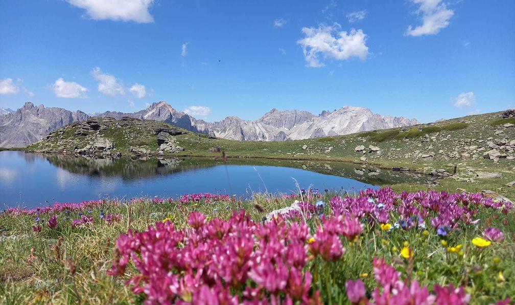 © André G. - Mont Thabor et sommets de la Clarée - 12