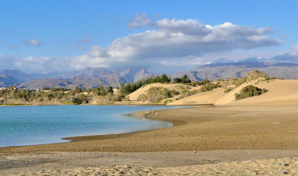 © Sylvie P. - Dunes et canyons de Gran Canaria - 7