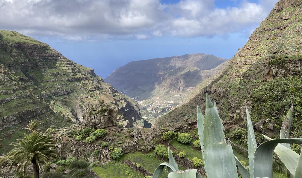 © Michèle R. - La Gomera et La Palma - 10