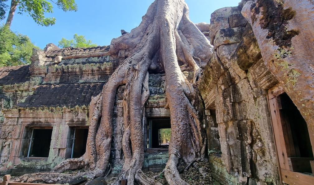 © Jean-Marcel R. - Le Cambodge à vélo, de Phnom Penh à Angkor - 9