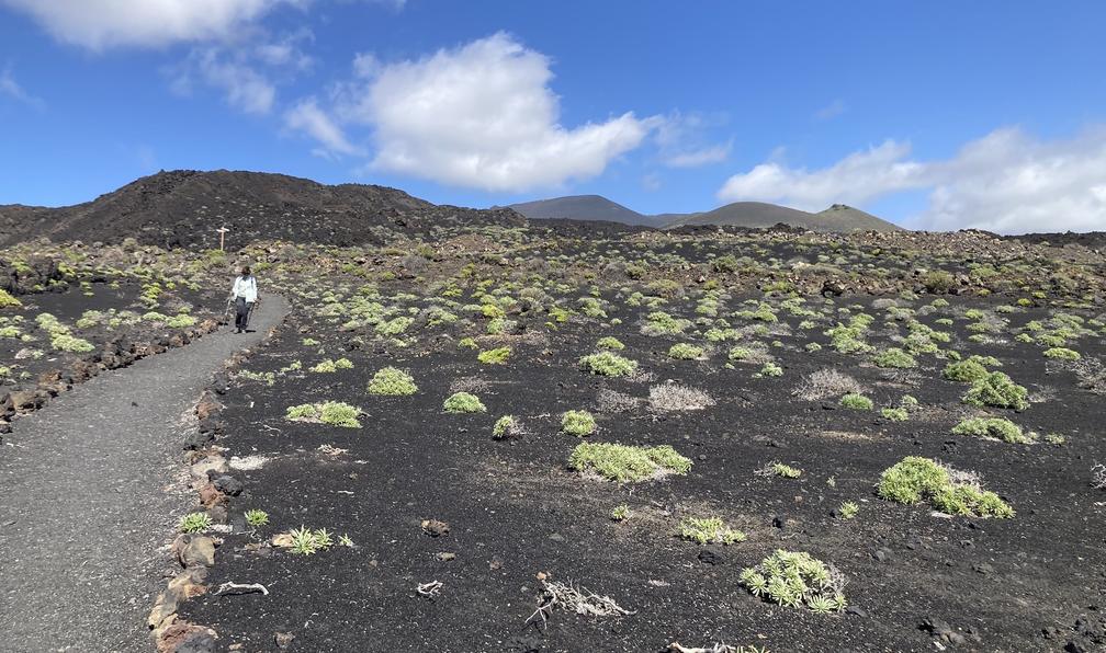 Randonnée la palma - La Palma, isla bonita - Randonnée - Espagne ...