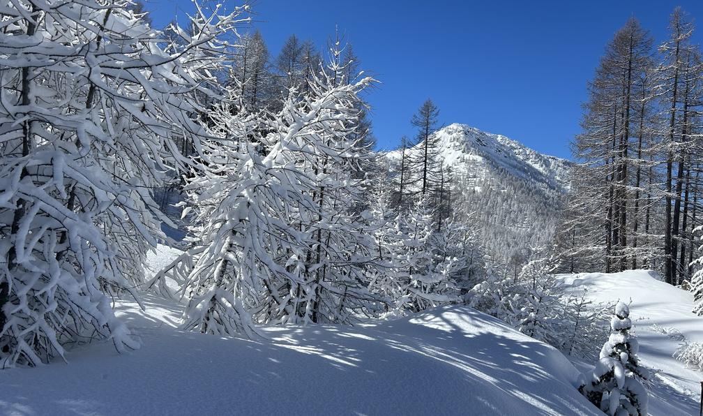 © Béatrice S. - Le meilleur du Queyras à ski - 10