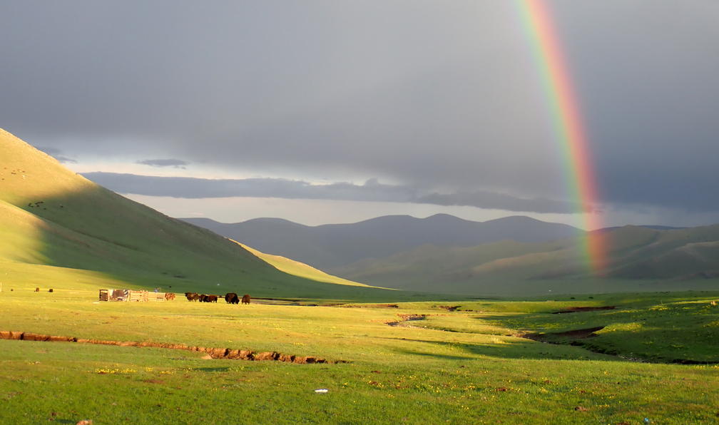 © Philippe M. - Grand trek du Khangai et désert de Gobi - 10