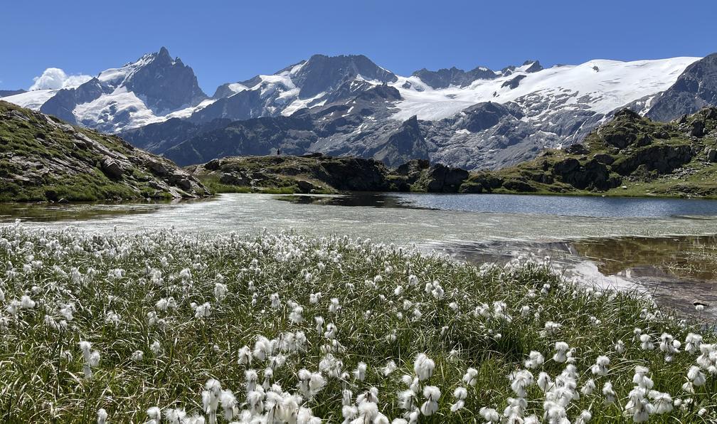 © Alain P. - Le tour des Ecrins - 13