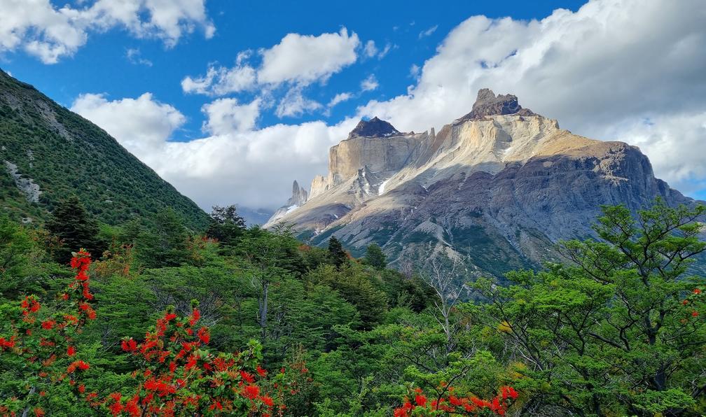 © Brieuc G. - Patagonie et Terre de Feu (confort) - 10