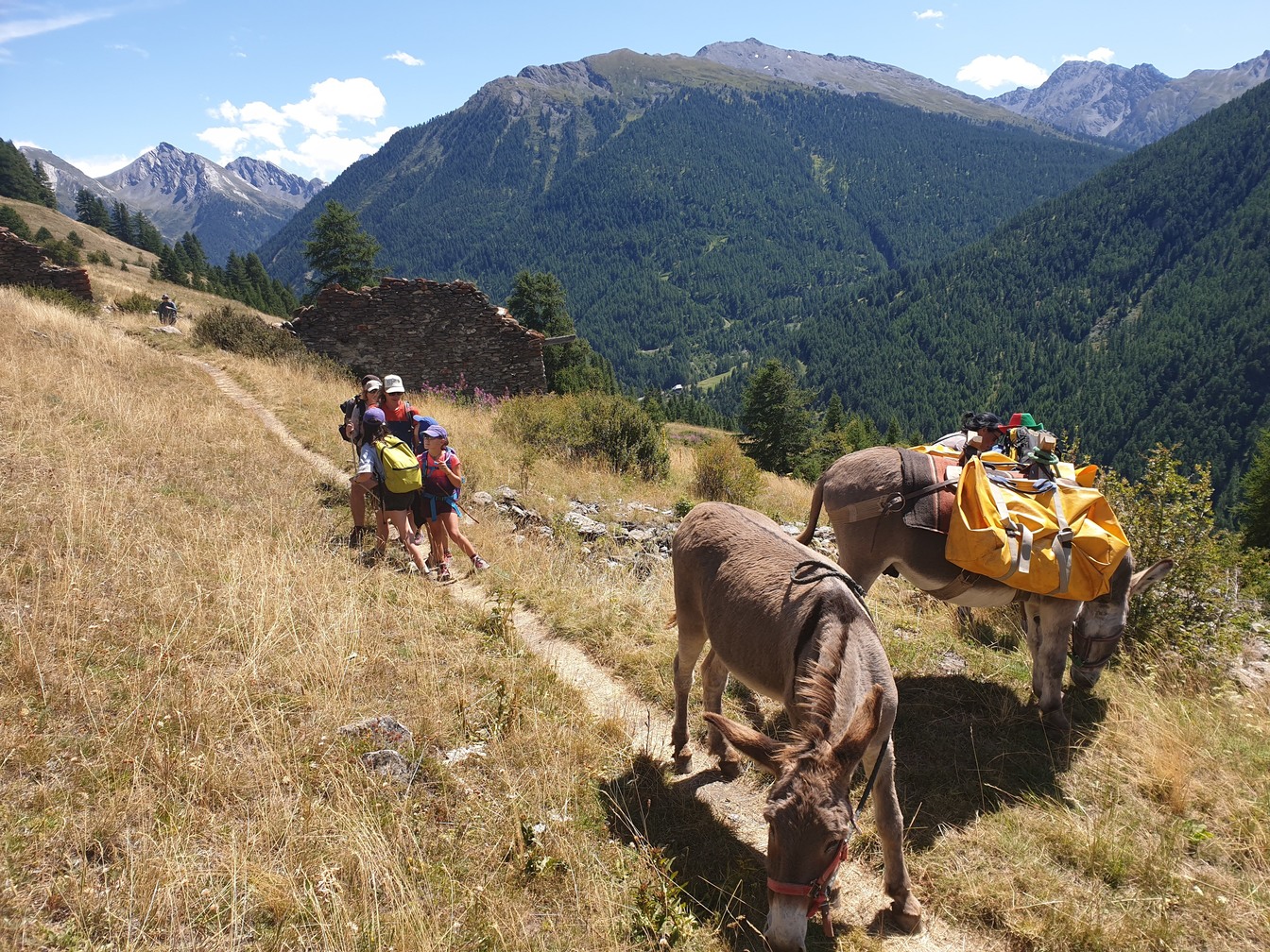 Randonnées avec un ane - Queyras, au pas de l'âne - Randonnée - France ...