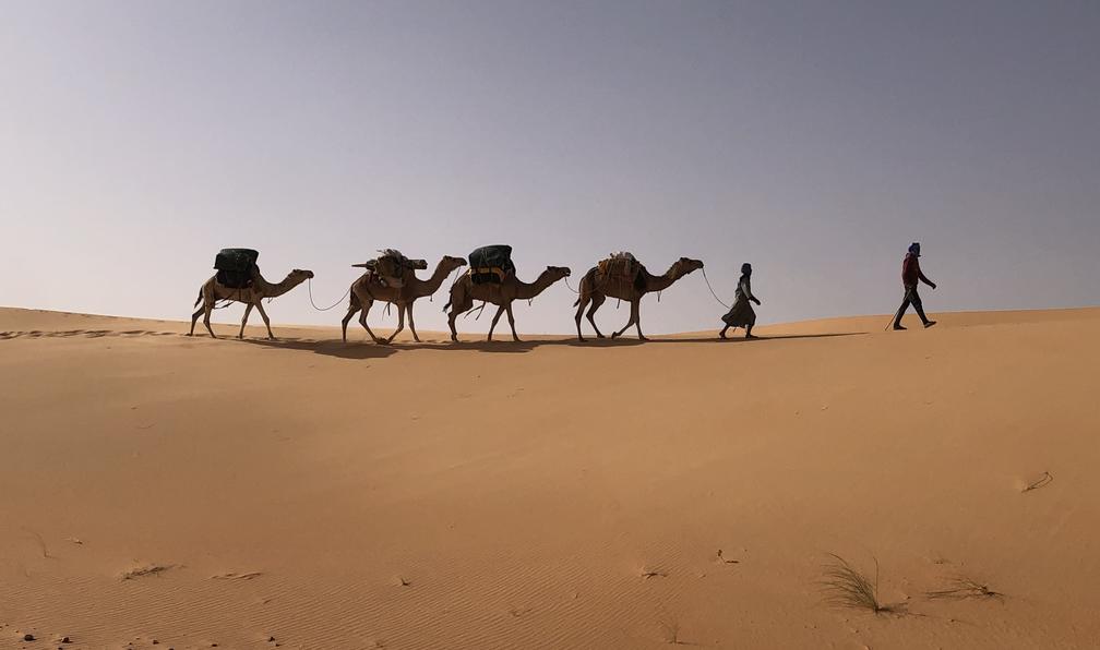 © Herve D. - Adrar hors du temps: de Maaden à la vallée Blanche - 10