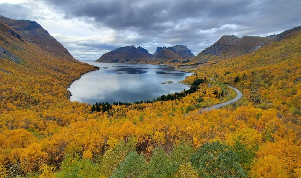 © Guillaume F. - Senja, Vesterålen et Lofoten - 9