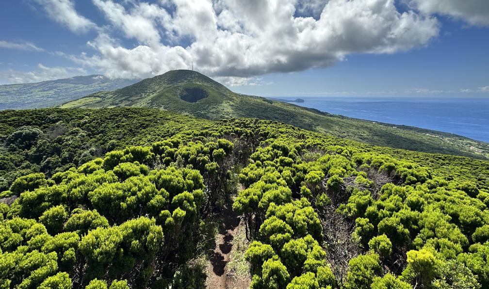 © Jean-Pierre D. - Les îles arc-en-ciel - 13