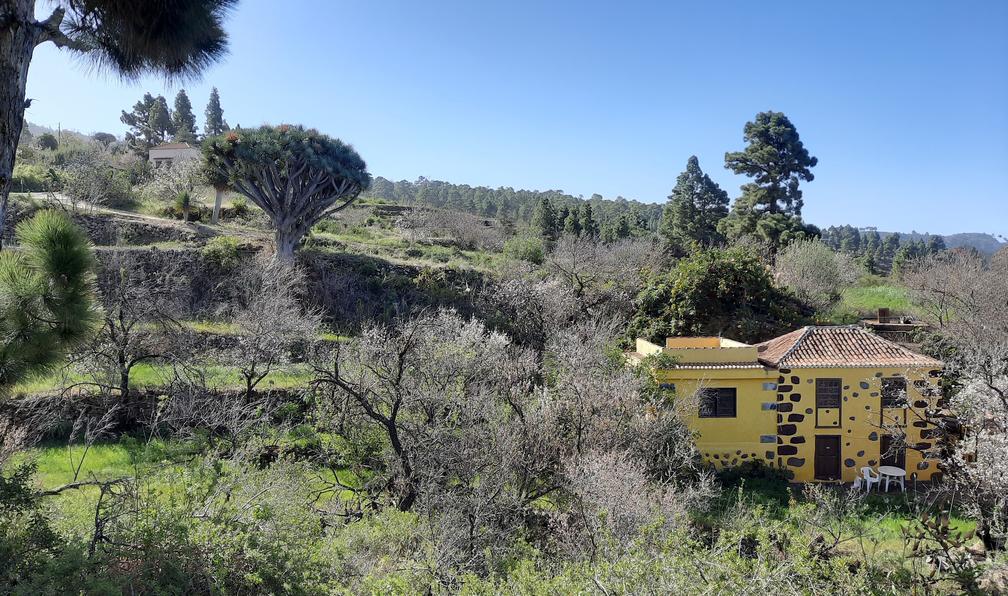 © Marc V. - La Palma, isla bonita - 7