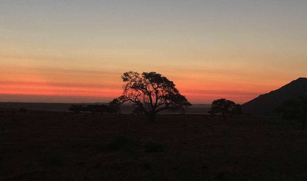 © Viviane F. - Montagnes et déserts de Namibie - 11