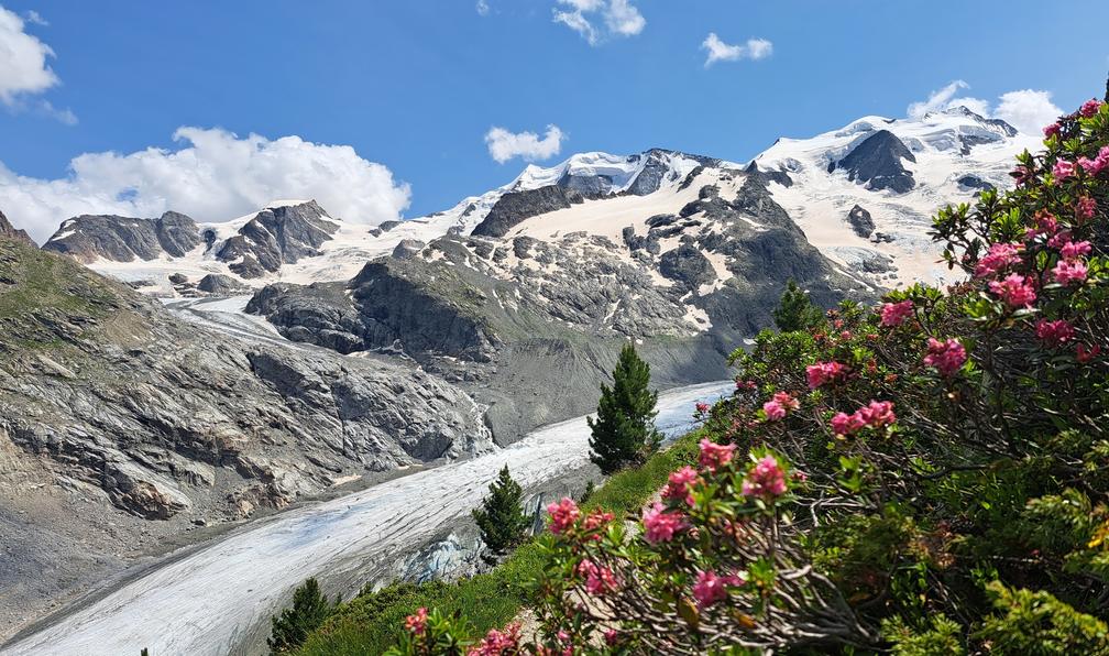 © Christine B. - Saint-Moritz et Bernina, joyaux alpins - 10