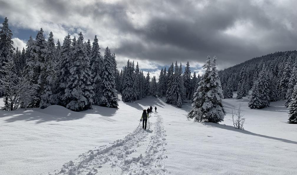 © Emmanuelle G. - Le Vercors sauvage à raquettes - 5