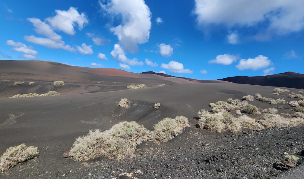 © Laurence T. - Lanzarote et La Graciosa - 9