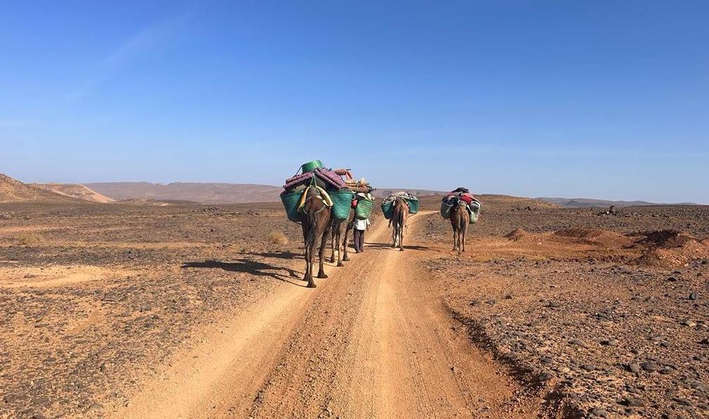 © Jennifer M. - La caravane du désert depuis Marrakech - 9