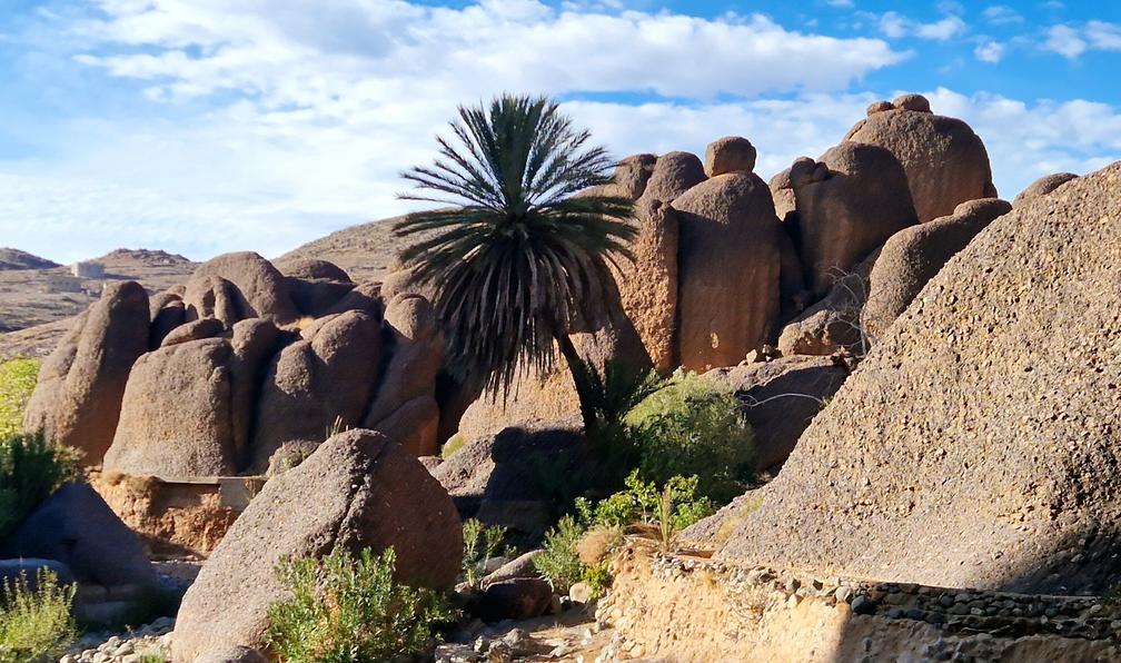 © Marjory V. - Les grands espaces du Sud - 11