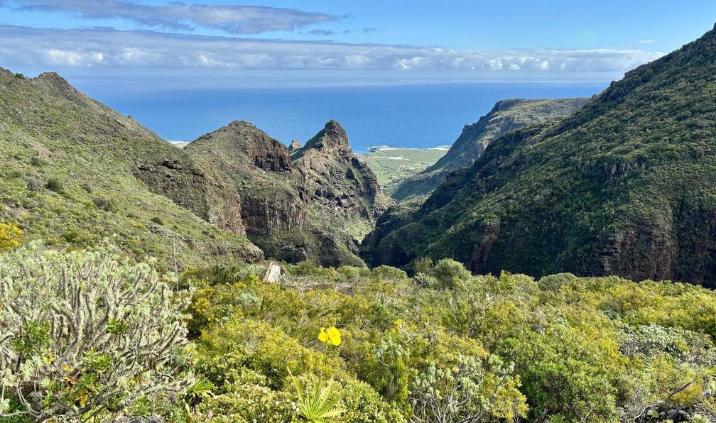 © Silvia C. - Tenerife, à l'assaut du Teide - 12