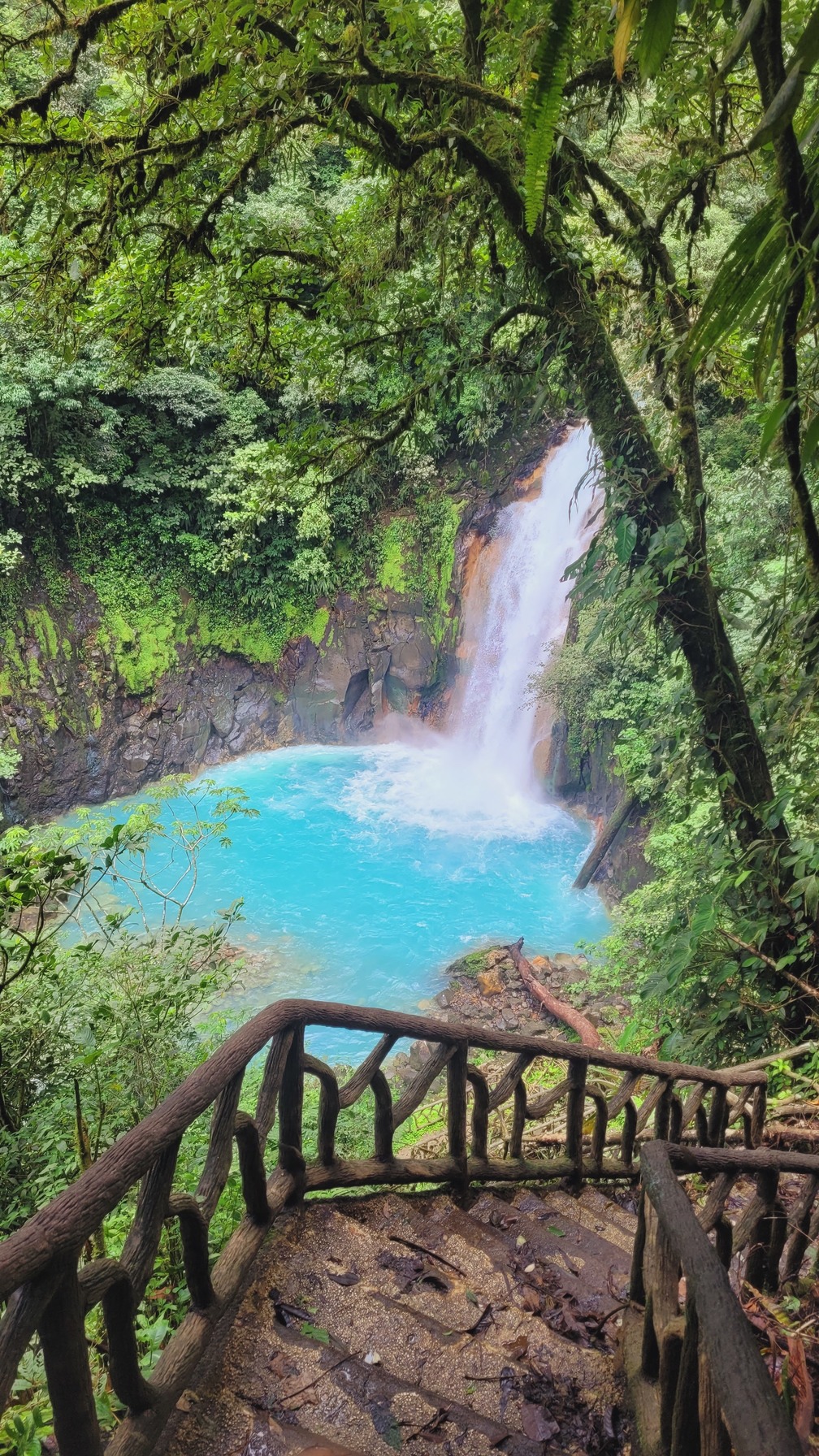 vous l’avez déjà téléchargé ? j’apprends ça que maintenant mdr #pinterest  #tumblr #SHELFAPPLICATION #pinterestinspo #aestheticapp, image size:1008x1792